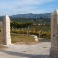 valpolicella1